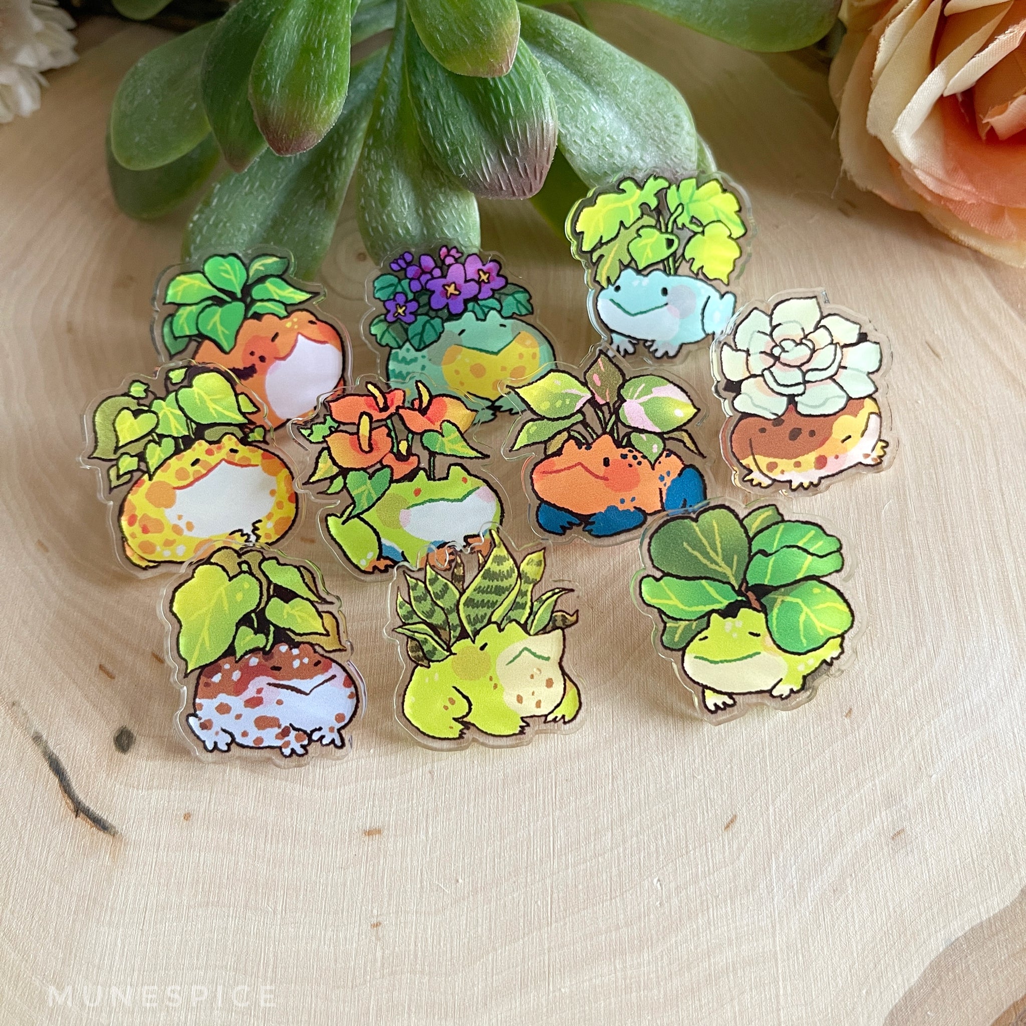 Frogs & Houseplants | Acrylic Pins – Munespice